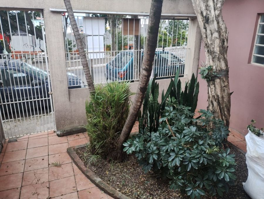 Casa - Venda - Jardim Maristela - S�o Paulo - SP